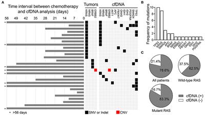 Clinical Utility of a Cell-Free DNA Assay in Patients With Colorectal Cancer